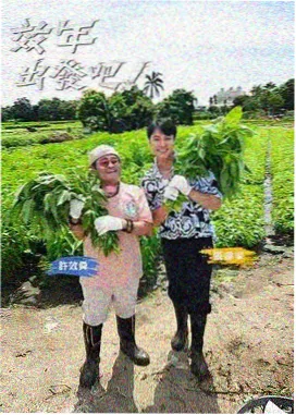 音乐综艺免费观看